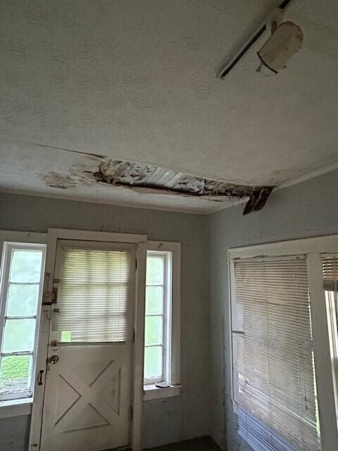 doorway to outside with healthy amount of natural light