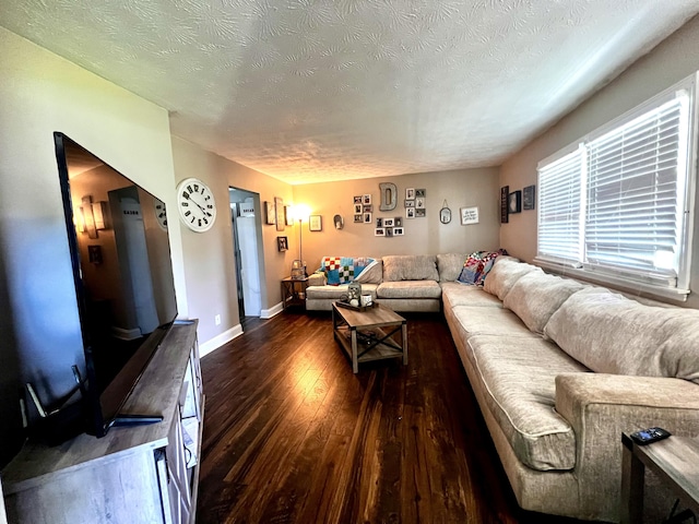 201 Longview St, Harrodsburg, KY 40330 - living room with dark wood-style floors, a textured ceiling, and baseboards