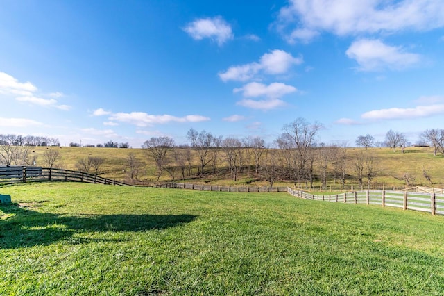 view of yard with a rural view