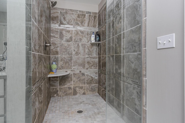 465 Manitoba Ln, Lexington, KY 40515 - bathroom with tiled shower