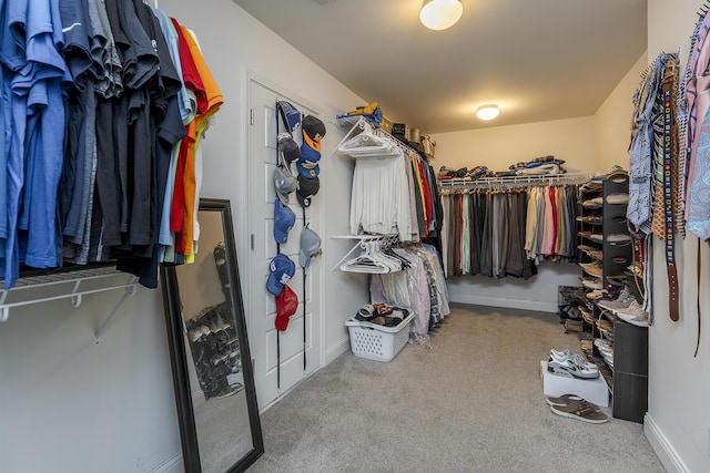 465 Manitoba Ln, Lexington, KY 40515 - walk in closet featuring carpet flooring