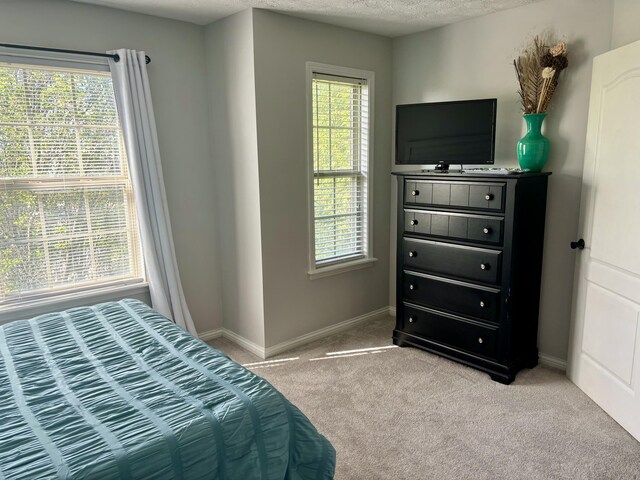 4336 Clearwater Way, Lexington, KY 40515 - bedroom with light carpet, baseboards, multiple windows, and a textured ceiling