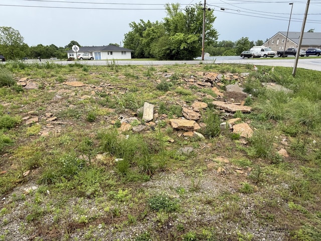 515 Pierce Ln, Frankfort, KY 40601 - view of yard