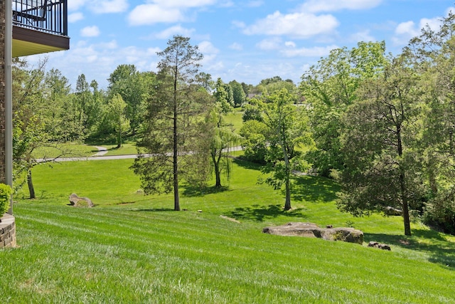 43 Enclave Dr, Somerset, KY 42503 - view of grassy yard featuring a balcony