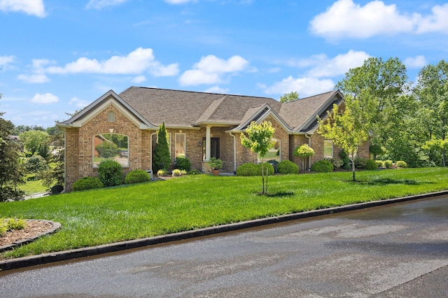43 Enclave Dr, Somerset, KY 42503 - view of front of home with a front yard, brick siding, and a shingled roof