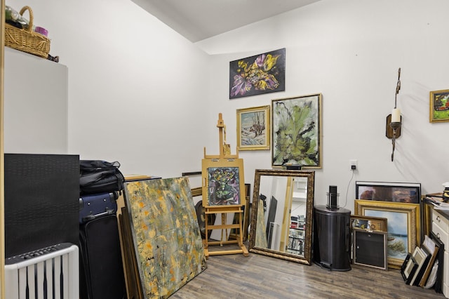 43 Enclave Dr, Somerset, KY 42503 - miscellaneous room with wood finished floors and vaulted ceiling