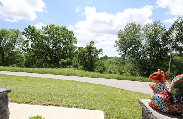 156 Kaydons Way, Somerset, KY 42503 - view of grassy yard