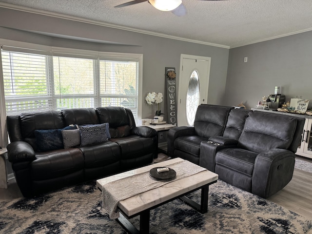 living room featuring a textured ceiling, wood finished floors, ornamental molding, and ceiling fan
