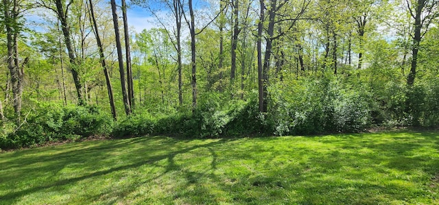 73 Redwood Ln, East Bernstadt, KY 40729 - view of grassy yard