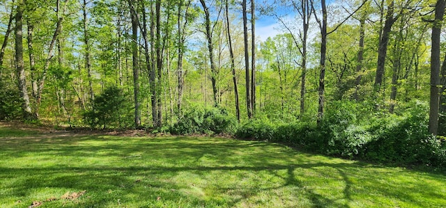 73 Redwood Ln, East Bernstadt, KY 40729 - view of grassy yard