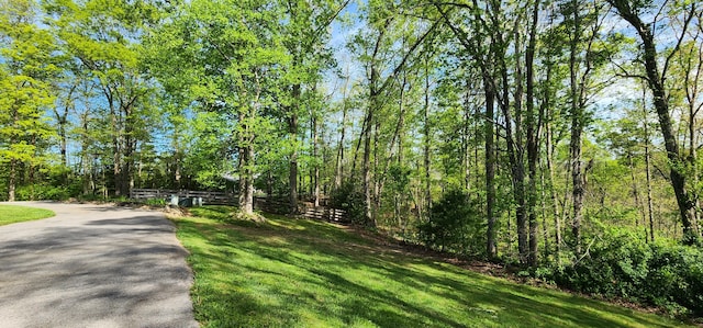 73 Redwood Ln, East Bernstadt, KY 40729 - surrounding community with a lawn and a forest view