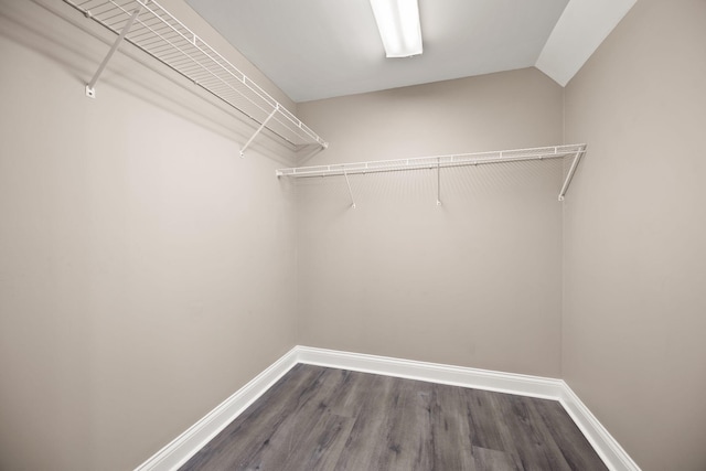 187 Woodside Dr, Somerset, KY 42503 - walk in closet with dark wood-style flooring