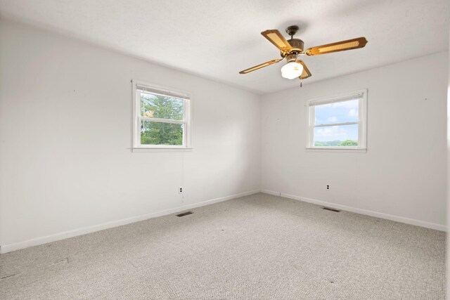 279 Hatton Creek Rd, Stanton, KY 40380 - spare room with healthy amount of natural light, baseboards, and carpet flooring