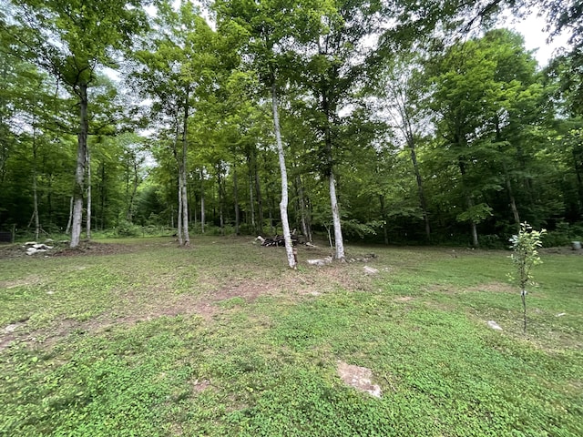view of green lawn with a forest view
