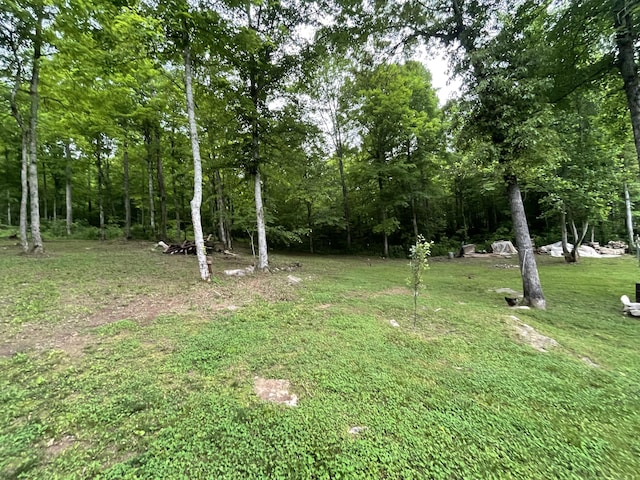 view of grassy yard