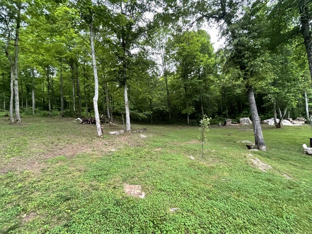 177 Gregory Branch Rd, Monticello, KY 42633 - view of grassy yard