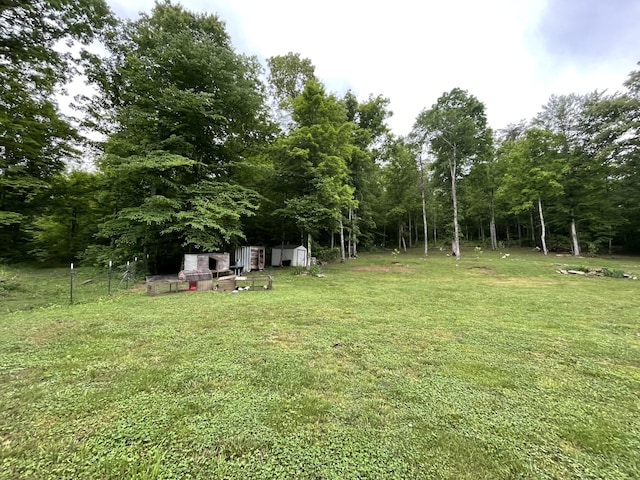 view of green lawn with an outbuilding