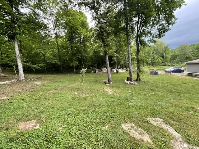 view of green lawn