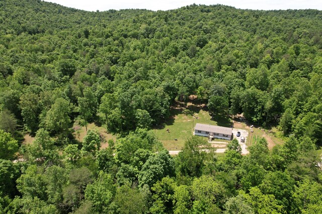 177 Gregory Branch Rd, Monticello, KY 42633 - view of subject property featuring a forest
