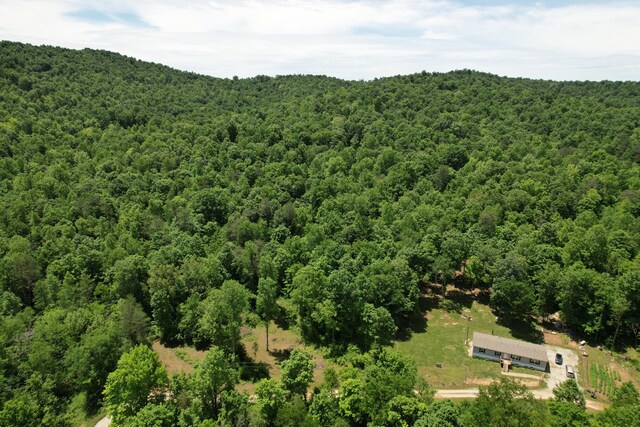 177 Gregory Branch Rd, Monticello, KY 42633 - view of subject property featuring a forest