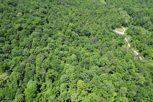 view of property location featuring a forest
