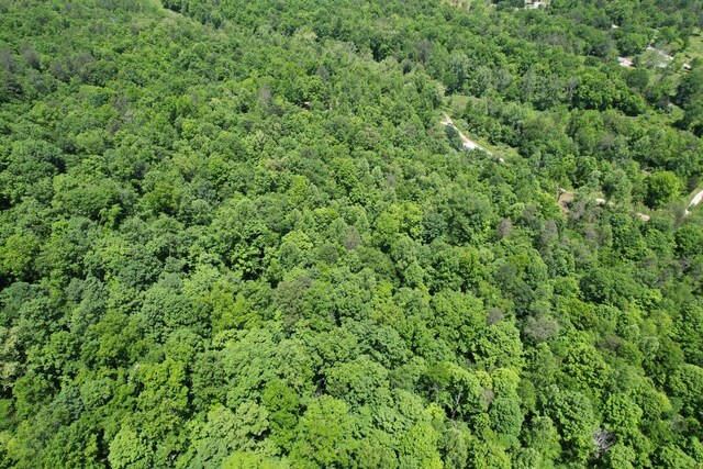 177 Gregory Branch Rd, Monticello, KY 42633 - aerial overview of property's location with a forest
