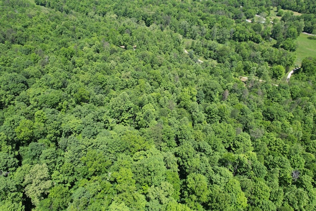 aerial view of property's location with a forest