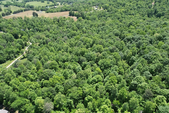 aerial view of a forest