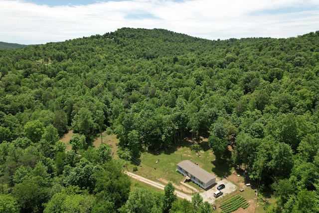 bird's eye view of a forest