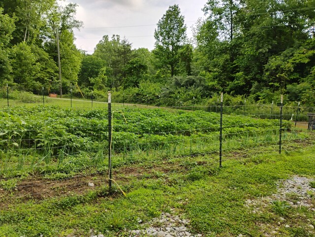 177 Gregory Branch Rd, Monticello, KY 42633 - view of yard