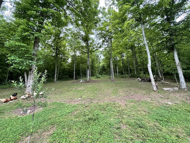 view of yard featuring a view of trees