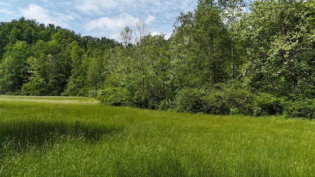 1000 Jackie Branch Rd, Manchester, KY 40962