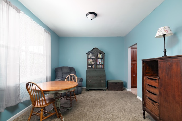 1335 Curtis Pike, Richmond, KY 40475 - dining space with carpet flooring and baseboards
