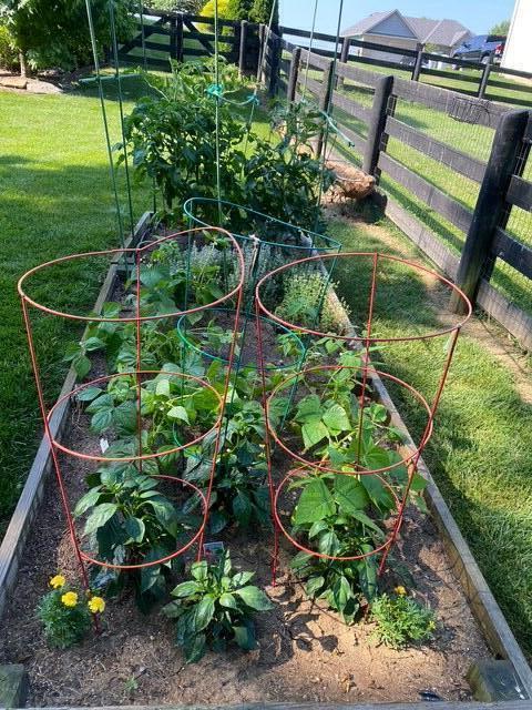 103 Farmview Way, Georgetown, KY 40324 - view of yard featuring a vegetable garden