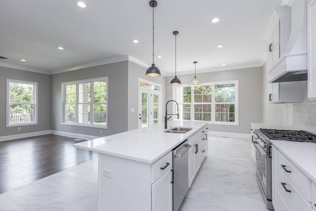 2269 Savannah Ln, Lexington, KY 40513 - kitchen featuring a sink, appliances with stainless steel finishes, premium range hood, recessed lighting, and baseboards