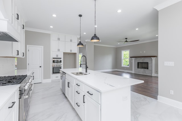 2269 Savannah Ln, Lexington, KY 40513 - kitchen with a sink, stainless steel appliances, a ceiling fan, custom exhaust hood, and recessed lighting