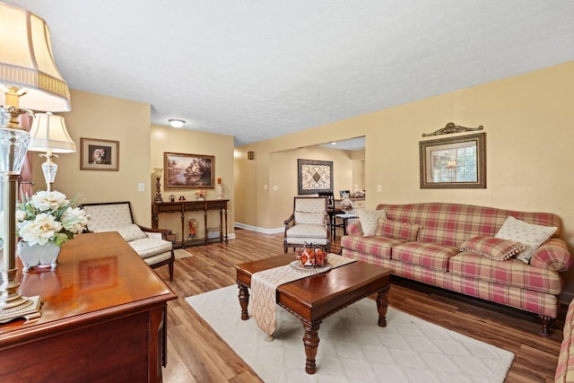 256 Michael Blvd, Frankfort, KY 40601 - living room with light wood-type flooring, baseboards, and a textured ceiling