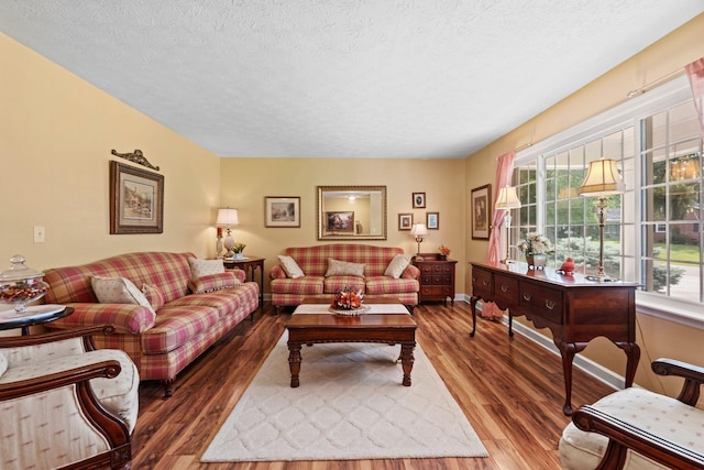 256 Michael Blvd, Frankfort, KY 40601 - living room featuring wood finished floors, plenty of natural light, a textured ceiling, and baseboards