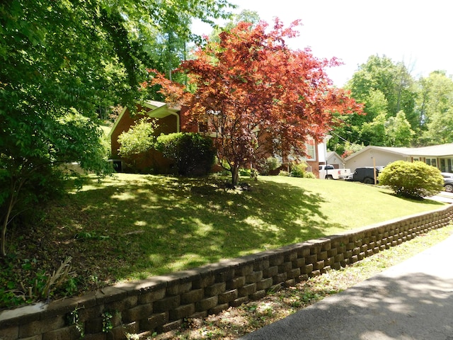 184 Meadow Dr, Harlan, KY 40831 - view of grassy yard