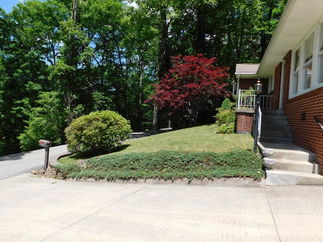 184 Meadow Dr, Harlan, KY 40831 - view of grassy yard