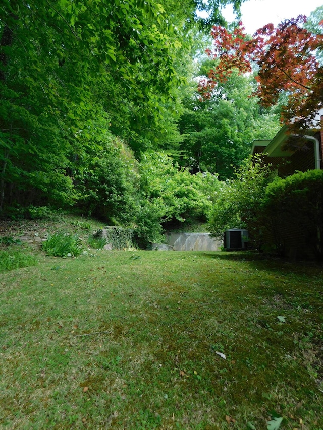 184 Meadow Dr, Harlan, KY 40831 - view of green lawn