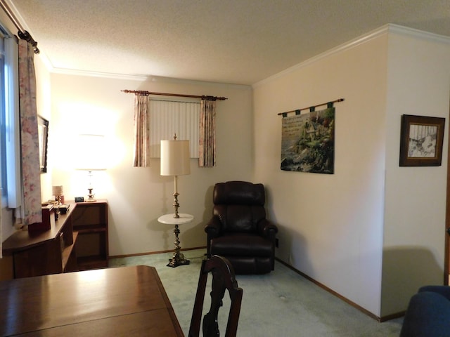 184 Meadow Dr, Harlan, KY 40831 - living area featuring baseboards, crown molding, and carpet floors