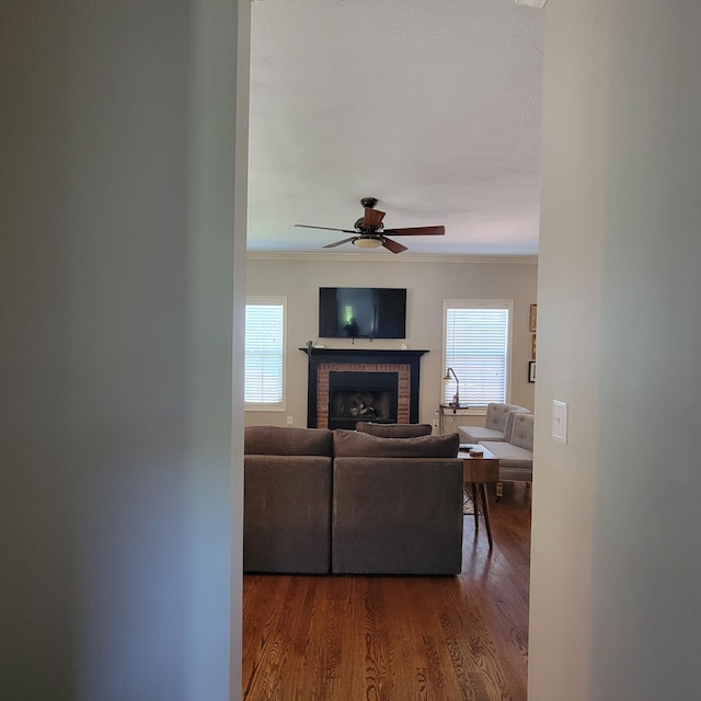 1136 Oatlands Park, Lexington, KY 40509 - living room featuring a ceiling fan, plenty of natural light, a fireplace, and dark wood-type flooring