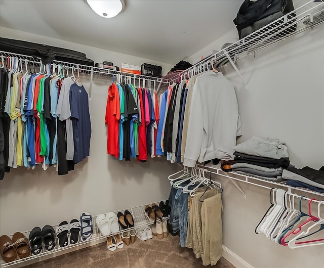 spacious closet with carpet