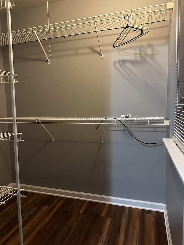 walk in closet with wood finished floors
