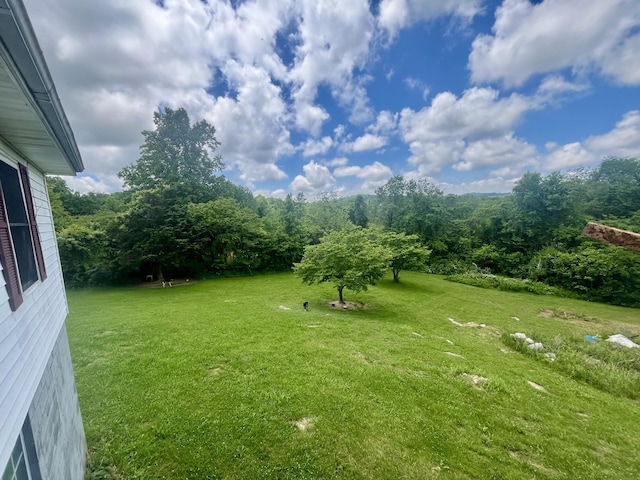 269 Old Somerset Rd, Mount Vernon, KY 40456 - view of grassy yard