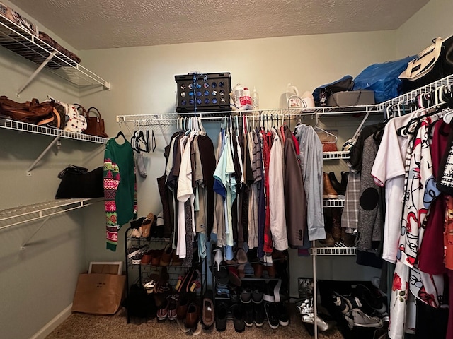 76 Waterford Way, Somerset, KY 42501 - spacious closet with carpet