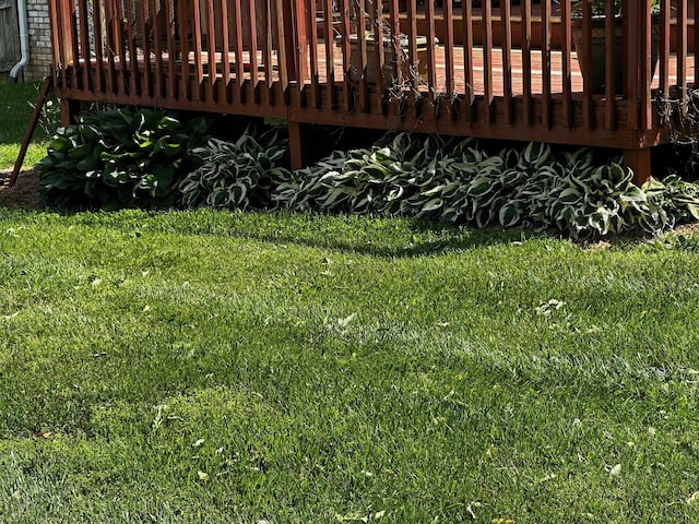 76 Waterford Way, Somerset, KY 42501 - view of green lawn with a deck
