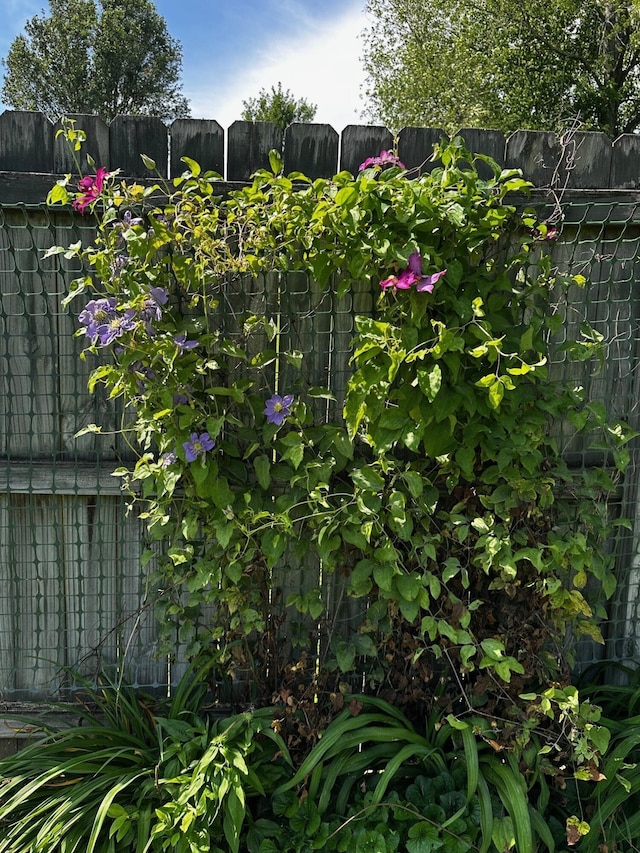 76 Waterford Way, Somerset, KY 42501 - exterior view of fence