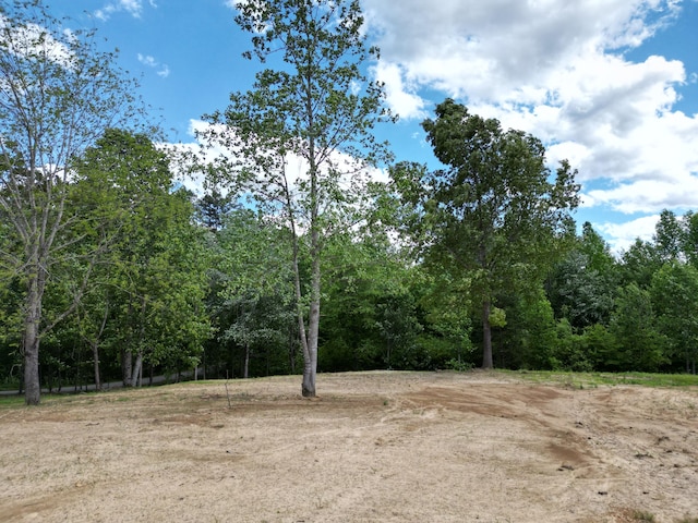 10 Nolan Dr, Corbin, KY 40701 - view of tree filled area